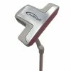 Fearless Raptor 2 Ball Blade Putter